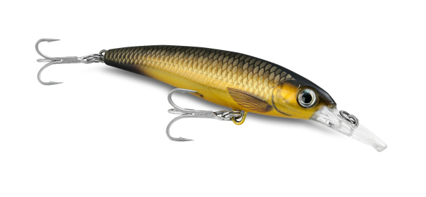 The 2013 snapper season in South Australia is closed from November 1 through until December 15. Image: Jamie Crawford